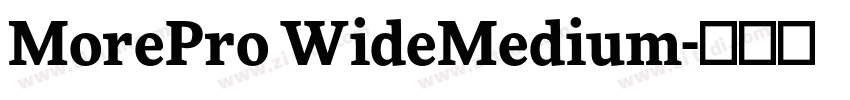 MorePro WideMedium字体转换